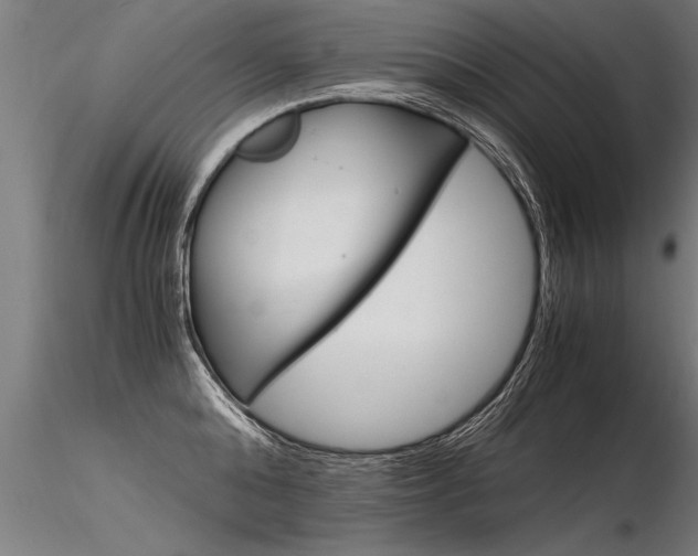 X0000116370808200912021008