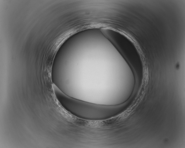 X0000116370809200912021008