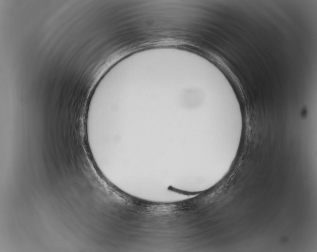 X0000116370810200912021008