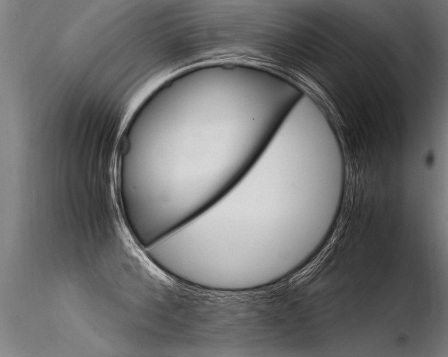 X0000116370812200912021008