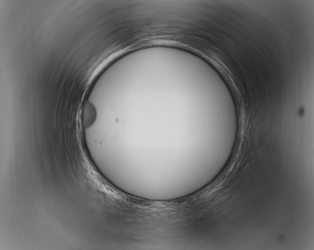 X0000116370814200912021008