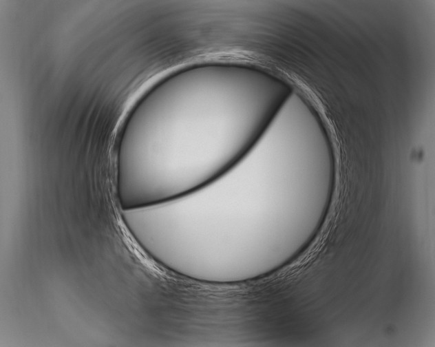 X0000116370816200912021008