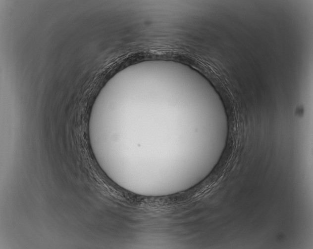 X0000116370817200912021007