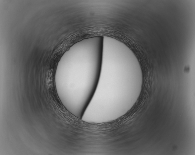 X0000116370818200912021007