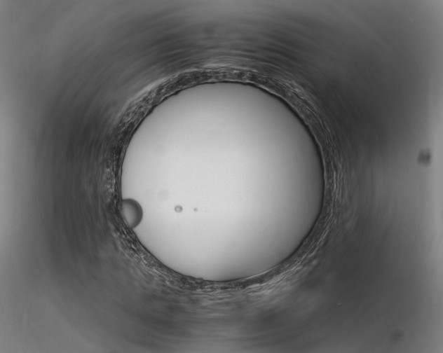 X0000116370821200912021007
