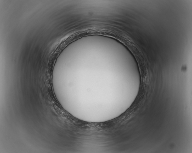 X0000116370822200912021007
