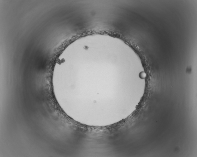 X0000116370824200912021007