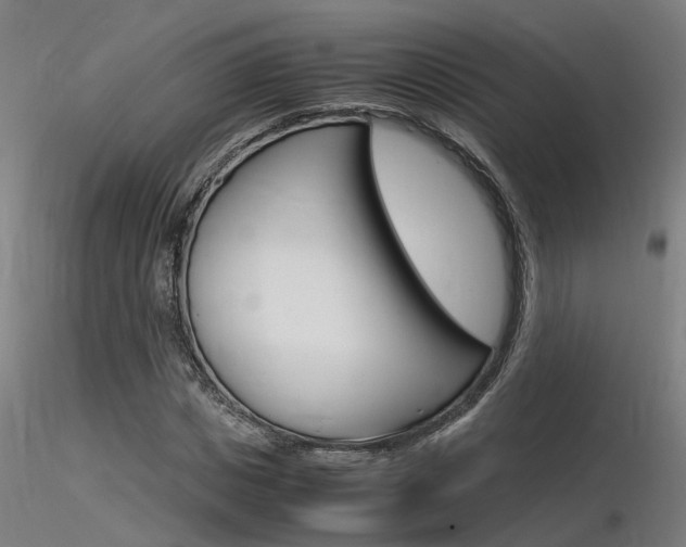 X0000116370825200912021007