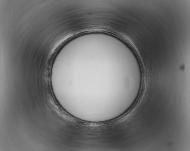 X0000116370827200912021007