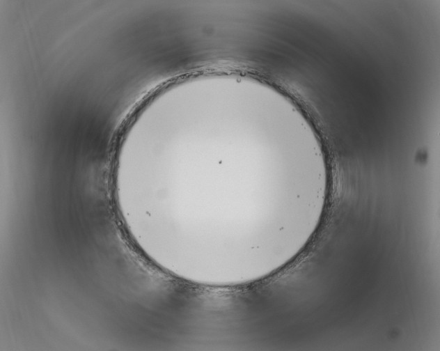 X0000116370828200912021007