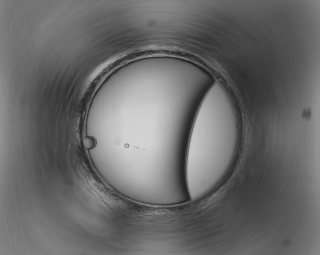X0000116370830200912021007