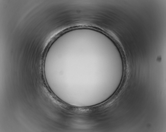 X0000116370831200912021008
