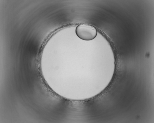 X0000116370832200912021008