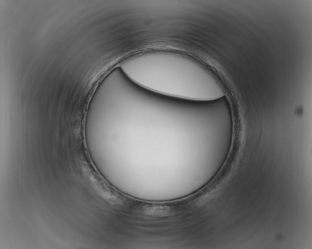X0000116370833200912021008