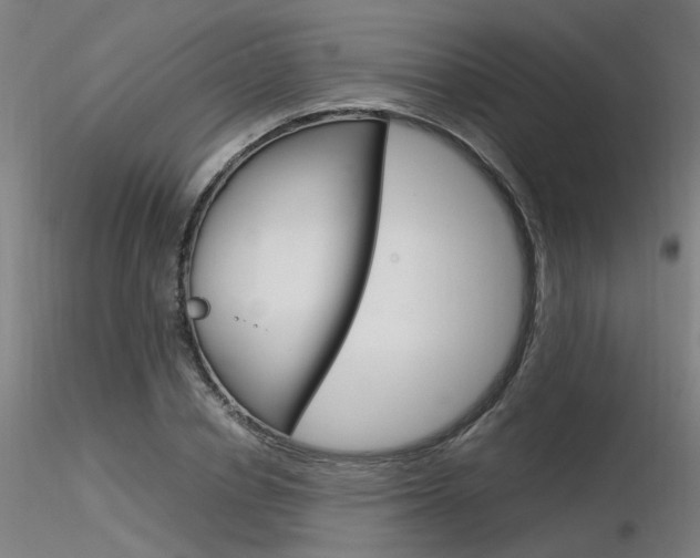 X0000116370834200912021008