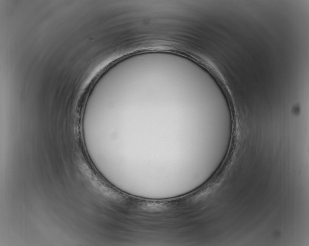 X0000116370835200912021008