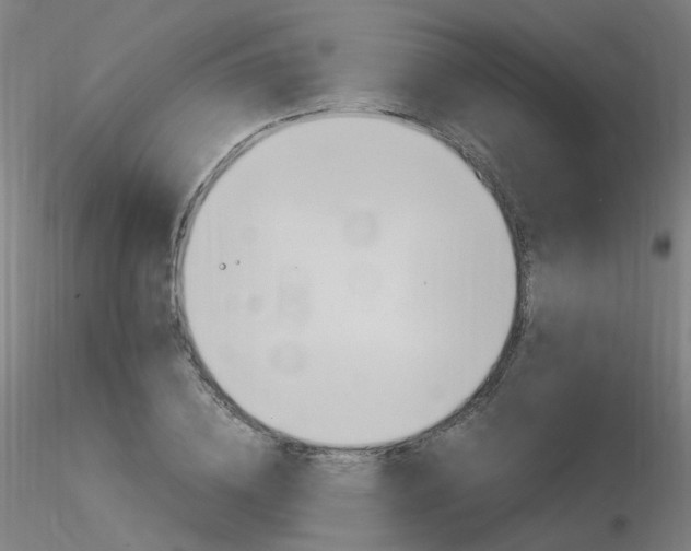 X0000116370836200912021008