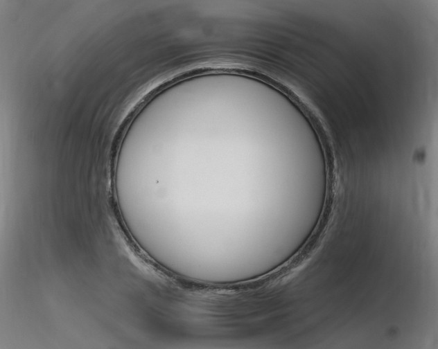 X0000116370837200912021008