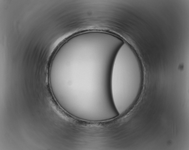 X0000116370838200912021008