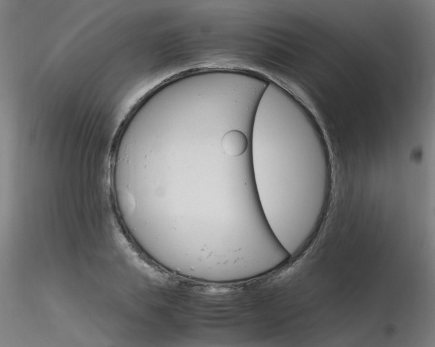 X0000116370839200912021008