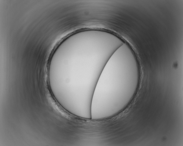 X0000116370840200912021008