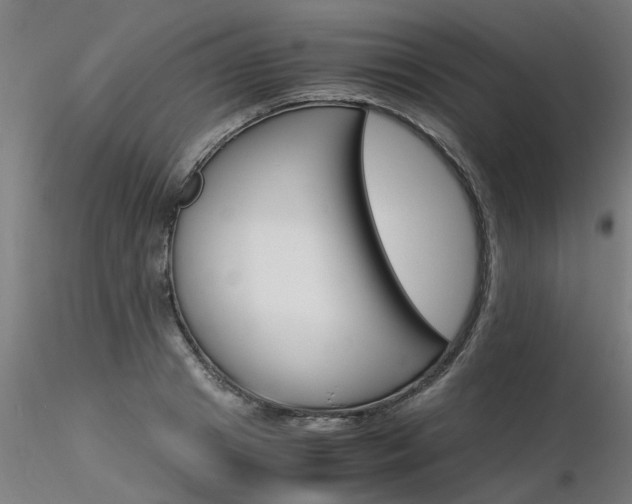 X0000116370841200912021008