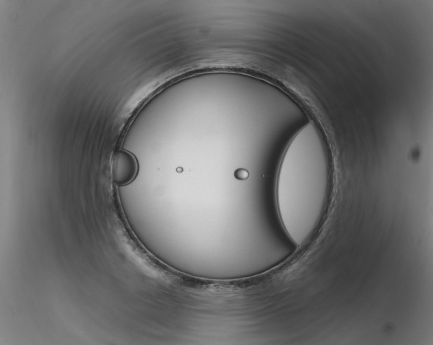 X0000116370842200912021008