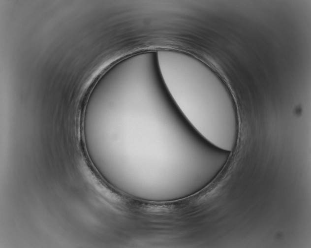 X0000116370843200912021008