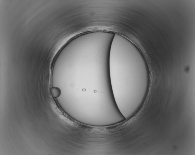 X0000116370844200912021008