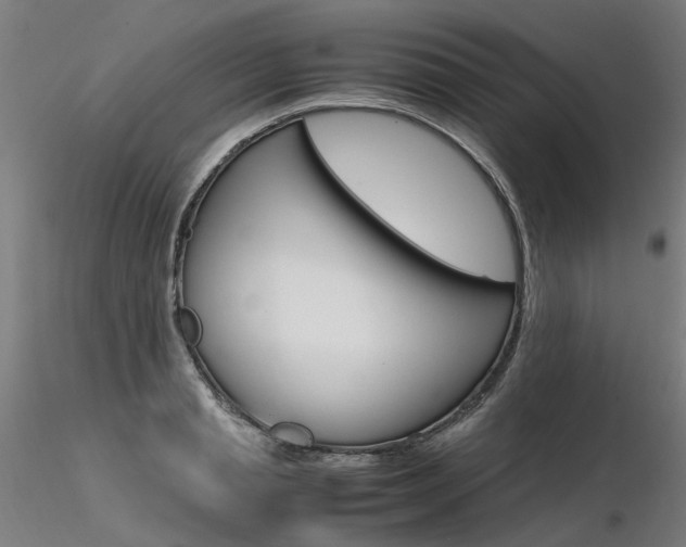 X0000116370845200912021008