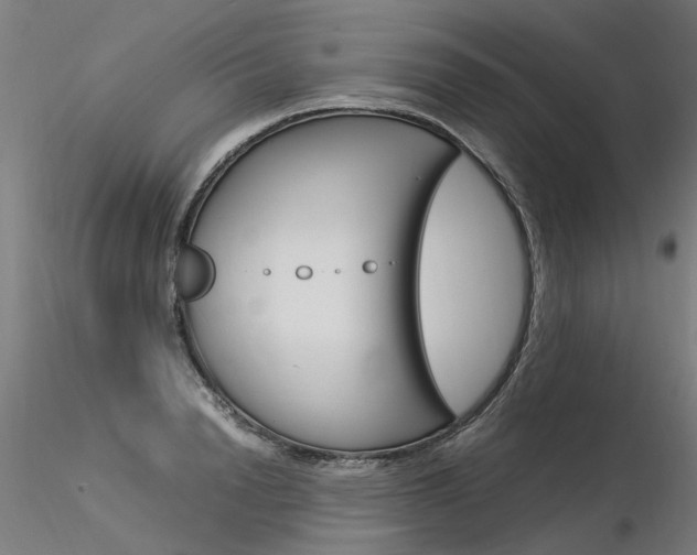 X0000116370846200912021008