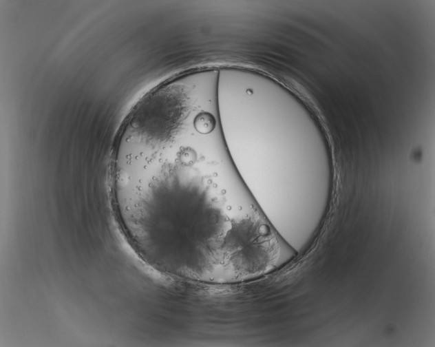 X0000116370847200912021008