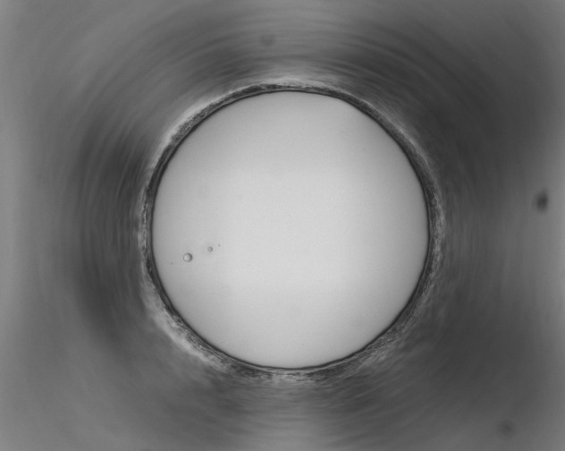 X0000116370848200912021008