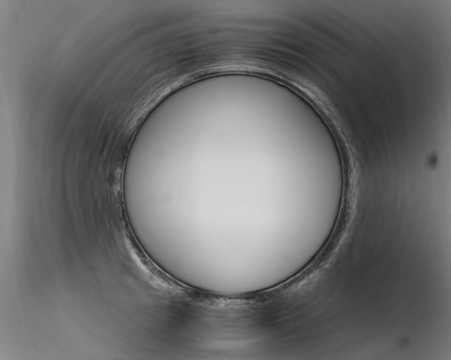 X0000116370849200912021008
