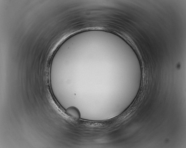 X0000116370851200912021008
