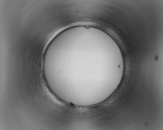 X0000116370852200912021008