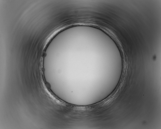 X0000116370855200912021008