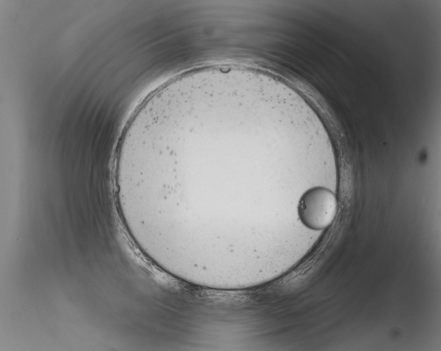 X0000116370856200912021008