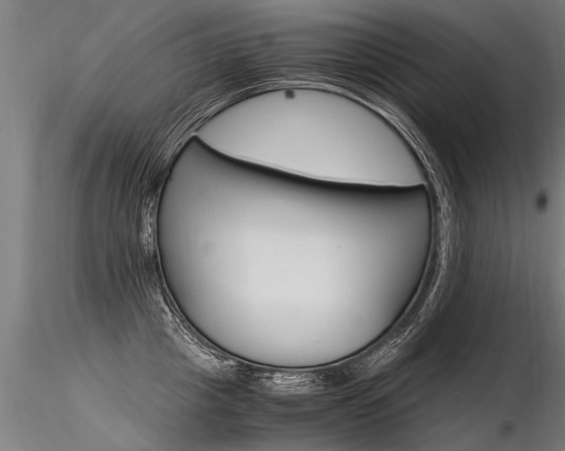 X0000116370857200912021008