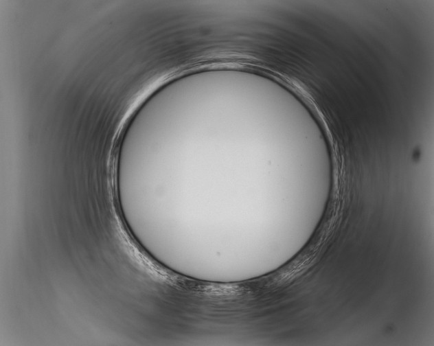 X0000116370859200912021008