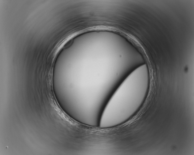 X0000116370860200912021008