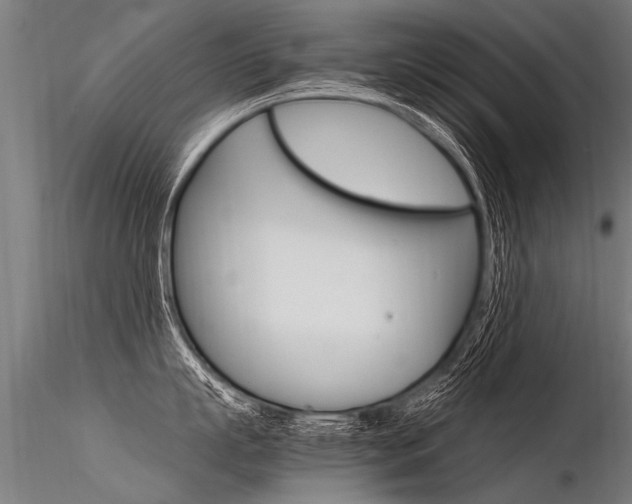 X0000116370863200912021008