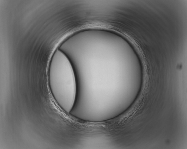 X0000116370864200912021008
