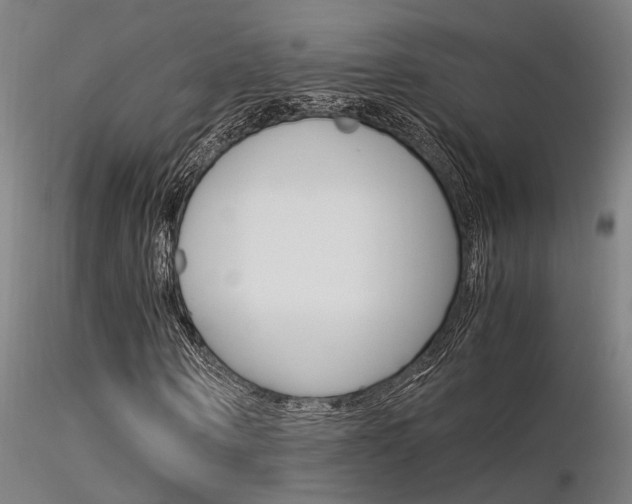 X0000116370866200912021007