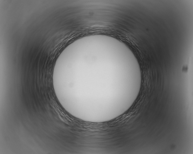 X0000116370868200912021007