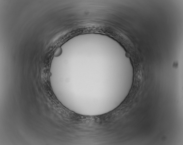 X0000116370869200912021007