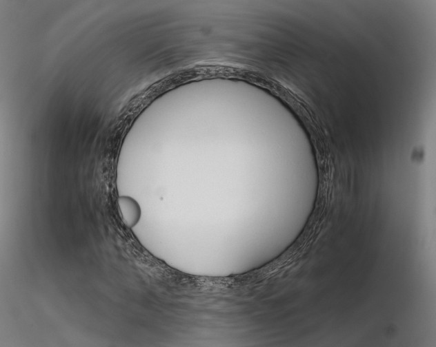 X0000116370870200912021007