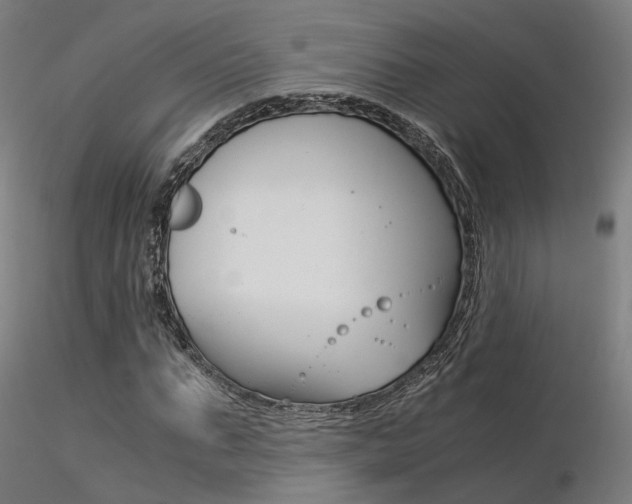X0000116370871200912021007