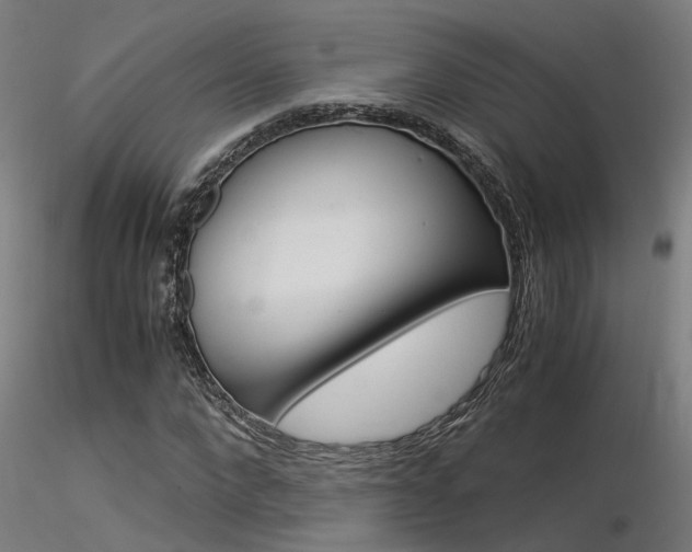 X0000116370872200912021007