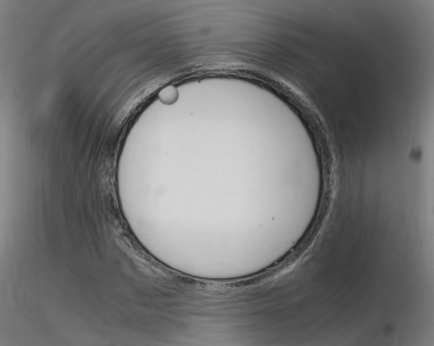 X0000116370873200912021007